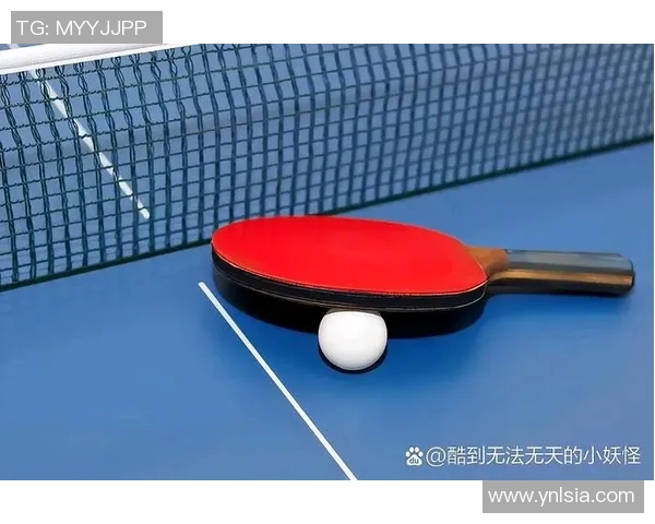 乒乓球新手必看：轻松掌握节奏与技巧的入门指南