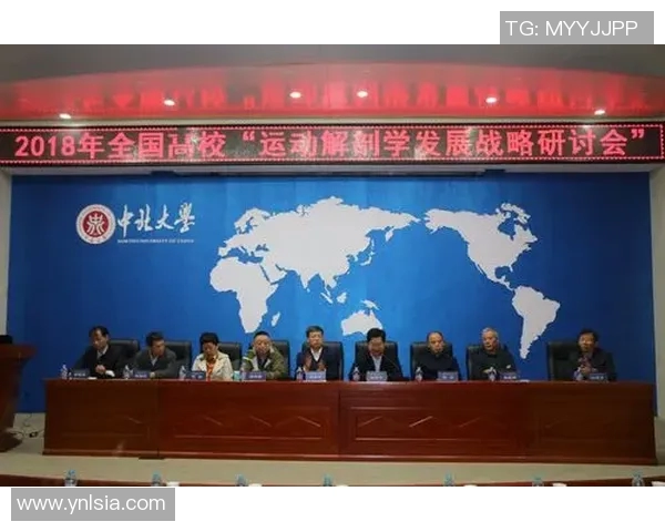运动康复科学：提升功能恢复与预防运动伤害的综合策略